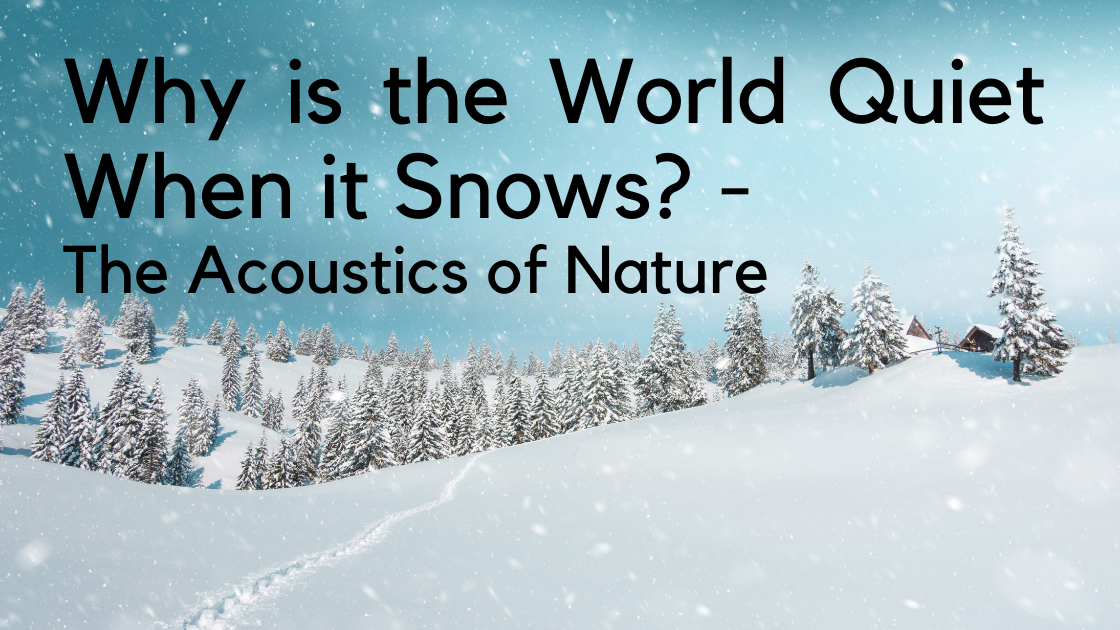 Why is the World Quiet When it Snows? The Acoustics of Nature My