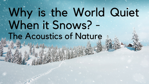 Why is the World Quiet When it Snows? - The Acoustics of Nature