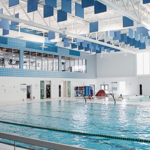 Blue 4x4 Acoustic Baffles in a Pool