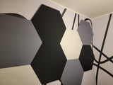 Hexagon Shaped Acoustic Wall Panels Installed. White, Onyx and Slate Colours.