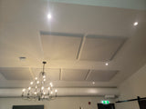 Acoustic Ceiling Panels - 2' x 4'